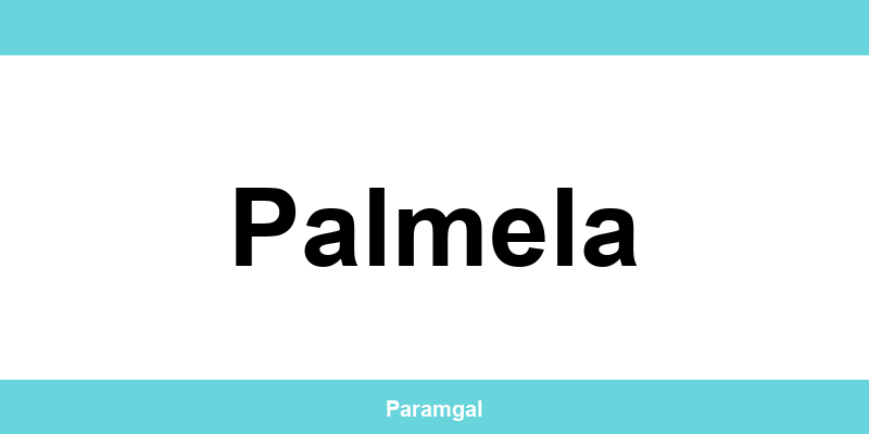 Contactos das lojas Wells em Palmela
