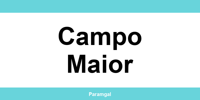 Contactos das lojas Wells em Campo Maior