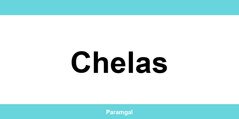 Contactos das lojas Wells em Chelas