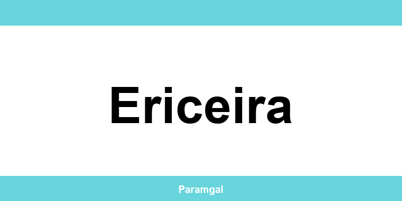 Contactos das lojas Wells em Ericeira