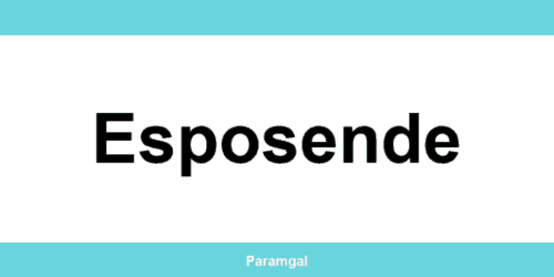 Contactos das lojas Wells em Esposende