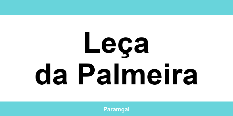 Contactos das lojas Wells em Leça da Palmeira