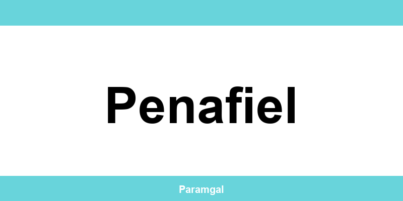 Contactos das lojas Wells em Penafiel