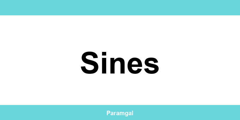 Contactos das lojas Wells em Sines