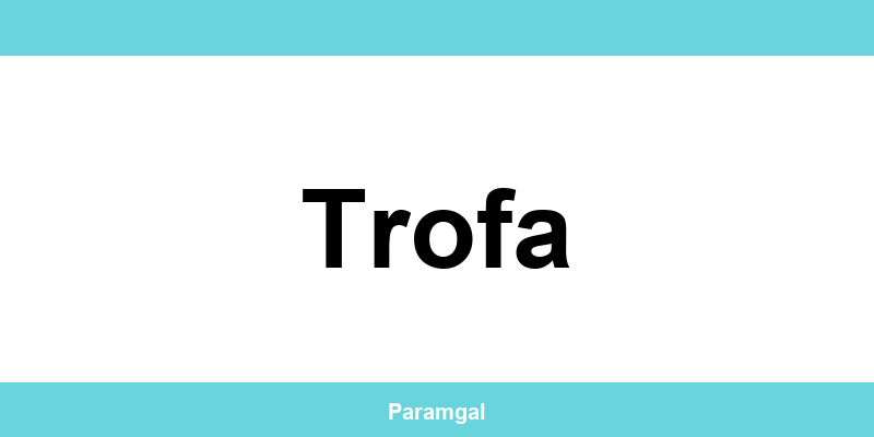 Contactos das lojas Wells em Trofa